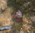 Ehrbachklamm_Eisenquarz