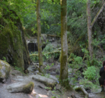 Ehrbachklamm