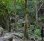 Ehrbachklamm