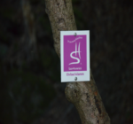 Traumschleife Ehrbachklamm