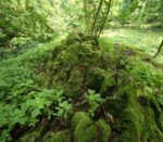 Westwood-Walk Vulcano