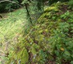 Westwood-Walk Vulcano