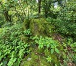 Westwood-Walk Vulcano