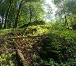 Westwood-Walk Vulcano