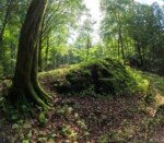 Westwood-Walk Vulcano