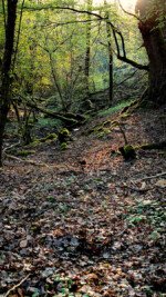 Quellgebiet Helferskirchen